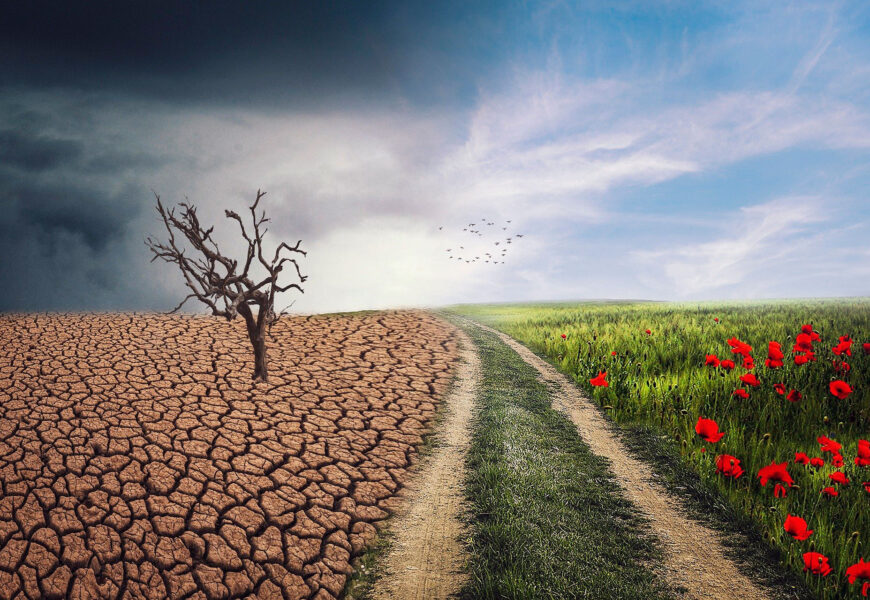 Los derechos humanos, el medio ambiente y la protección del clima que los beneficios | ISDS Platform